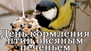 02.11.25 - День кормления птиц овсяным печеньем