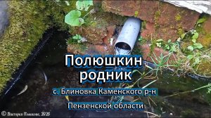 Полюшкин родник. Наше путешествие по святым местам