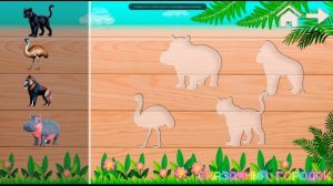 Развивающее видео для детей |  Звуки животных🐨🐯