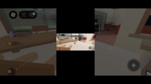 спрячьте кошку чек!