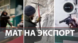 Майнеры украли электромиллиард | Школьники-разбойники | Пень возрастом 385 млн лет