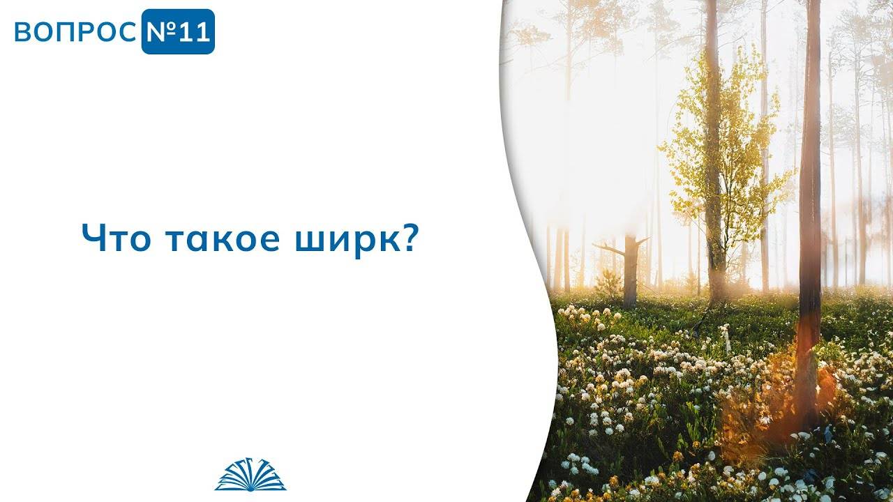 Вопрос № 11. Что такое ширк? | Абу Яхья Крымский смотреть онлайн