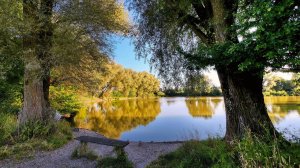 "Прогулки к пруду"