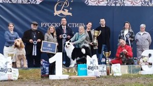 27.09.2025, СПб. Клуб "Русский Стиль" (РКФ, РФСС"). Выставка собак "РУССКИЙ СТИЛЬ-2" (САС, ЧФ)