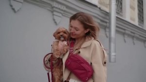 Новая коллекция аксессуаров Balance в бренде HUG ME DOG