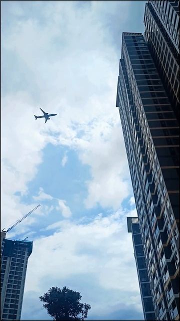 Пальмы, небоскребы и самолёт.