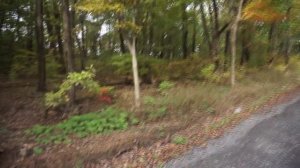 Улица Залесная-2