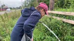 Нина Сергеевна из Питера через 50 лет приехала в родную Сибирь!