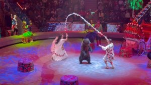 Рязанский цирк, вот и мечта сбылась, вместе с семьей сходили)))) 1 ноября 2025 год