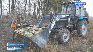 Итоговый выпуск "Вести. Белгород" от 02.11.2025