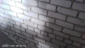 Фигурный трезвон к Евангелию на Божественной Литургии 2 ноября 2025