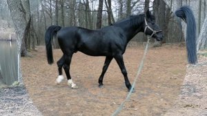 зимняя пора.mp4