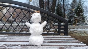 Проходка в Александровском саду по первому снегу