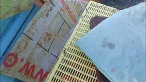 Пробую сохранить слабую пчелиную семью вот таким способом.