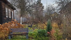 04-11-2025.Дача..Приехали поработать))Листьев прилетело от соседей....(02.11.-04.11.25.)