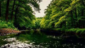 Сура Аль-Мульк Surah Al-Mulk سورة الملك