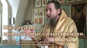 2015_11_08 Милосердие придаёт смысл нашей жизни