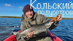 МЕЧТА СБЫЛАСЬ! ЛОВИМ ДИКУЮ КУМЖУ и КРУТИМ СУШИ в Дебрях Кольского. Рыбалка 2025 ч. 2