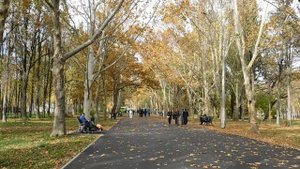 30=10=2025  СОЛНЕЧНЫЙ ОСТРОВ. КРАСНОДАР  (112)