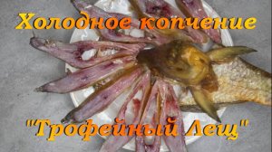 Холодное копчение. "Трофейный Лещ".