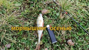 Мормышинг осенью