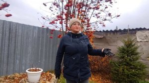 02.11.2025г. МНЕ КАЖЕТСЯ ОН СГОРЕЛ/
НАШ КАНАЛ ПРО ОБЫЧНУЮ ЖИЗНЬ В СЕЛЕ