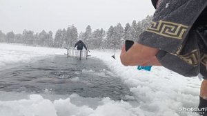 моржи Муравленко