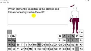 Quiz"Сhemical elements in the human body"