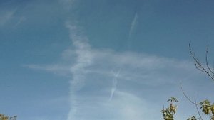 💚 ЛЕТО 2021го💚 Эта 👏👏👏 ФАНТАСТИКА !!! ✨️🤩✨️🎉🎉🎉 !)