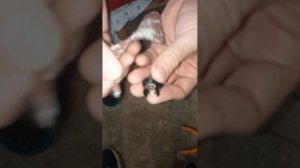 Не открывается крышка багажника от кнопки Датсун Он До