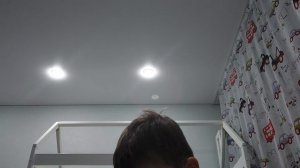 Делаю библиотеку для капибар