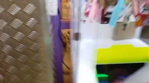 играем в автомат прищепку