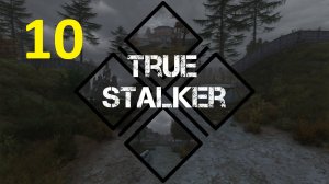 Прохождение S.T.A.L.K.E.R True Stalker. Часть 10