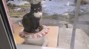 Вымачиваем посуду в специальном растворе.Начала вязать Андрею зимние носки.Муз.видео на мой стих.