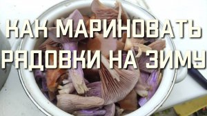 Рядовки на зиму как готовить маринованные рядовки рецепт