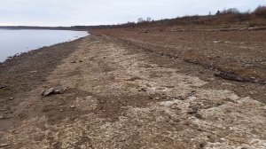 За камнями 1.11.25.