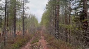 Легенда она и есть легенда