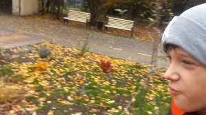 Осень в городе.