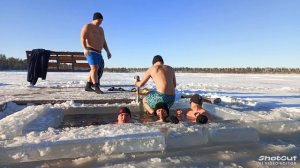 моржи Муравленко