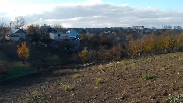 Копаем на бывшей реке SIMPLEX TRIPLE SCORE