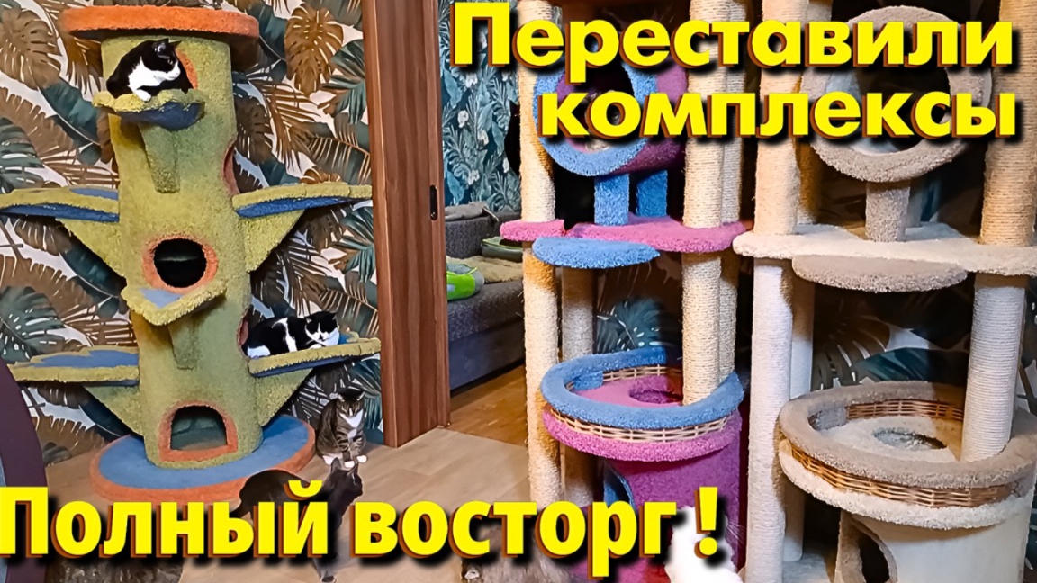 Переставили комплексы. Полный восторг! смотреть онлайн