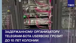 УБК МВД РФ пресечена работа телеграм-бота по распространению персональных данных россиян