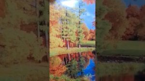 Эфир " Небесные Вкусняшки"