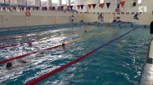 200 ярославских спортсменов получили региональную выплату за успехи в соревнованиях