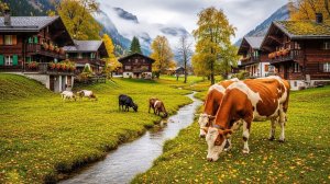 Сельская жизнь Швейцарии — Дождливое утро в самых красивых швейцарских деревнях | #шариклайф