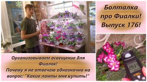 Болталка про Фиалки! Выпуск 176! Организовываем освещение для Фиалок!
