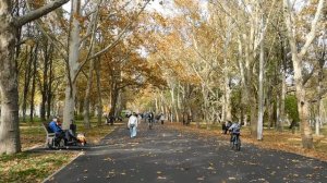 30=10=2025  СОЛНЕЧНЫЙ ОСТРОВ. КРАСНОДАР  (113)