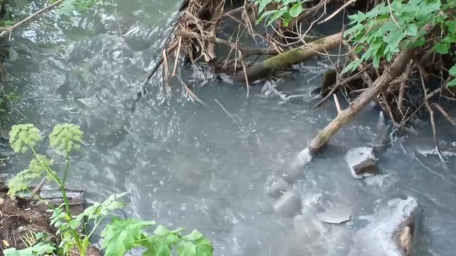 Река Данилиха. Новое загрязнение фекалиями (Пермь)