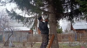 Приехали на дачу/укрыли розы