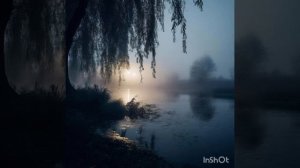 СЛЁЗЫ НОЯБРЯ